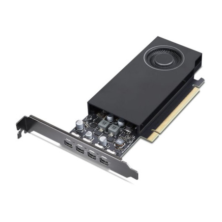 Carte graphique - RTX A1000 - 8 Go GDDR6 - PCIe 4.0 x8 - 4 x Mini DisplayPort (4X61Q73041)_1
