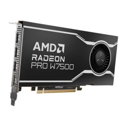 AMD Radeon Pro W7500 - Carte graphique - Radeon Pro W7500 - 8 Go GDDR6 - PCIe 4.0 x8 - 4 x Displ... (100-300000078)_1