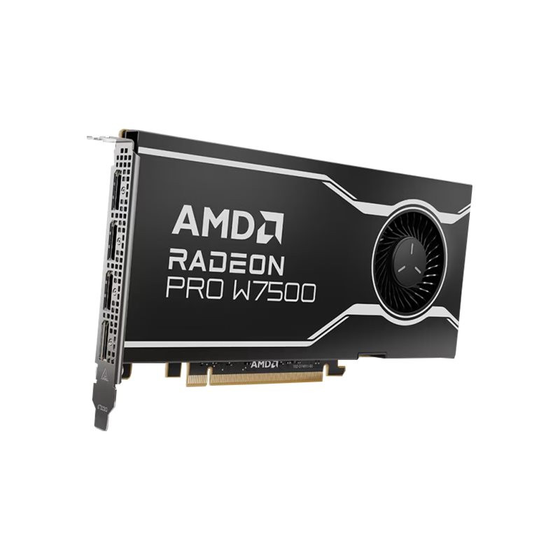AMD Radeon Pro W7500 - Carte graphique - Radeon Pro W7500 - 8 Go GDDR6 - PCIe 4.0 x8 - 4 x Displ... (100-300000078)_1