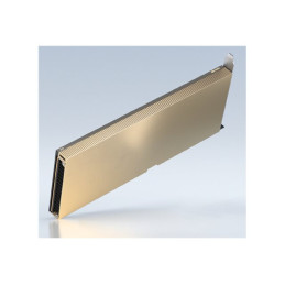 NVIDIA A10 - Processeur de calcul - NVIDIA A10 Tensor Core - 24 Go GDDR6 - PCIe 4.0 x16 - s... (900-2G133-0020-000)_1