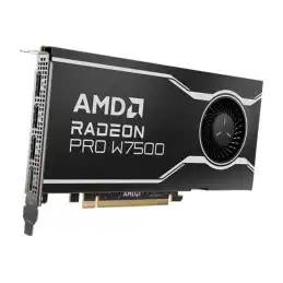 AMD Radeon Pro W7500 - Carte graphique - Radeon Pro W7500 - 8 Go GDDR6 - PCIe 4.0 x8 - 4 x DisplayPort (100-300000078)_1