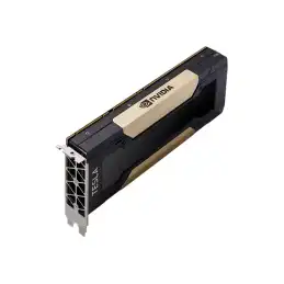 NVIDIA Tesla V100S - Processeur de calcul - Tesla V100S HBM2 - PCIe 3.0 x16 - san ventilateur (TCSV100SM-32GB-PB)_1