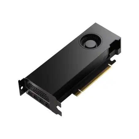 NVIDIA RTX 4000 Ada Generation - Carte graphique - RTX 4000 Ada - 20 Go GDDR6 - PCIe 4.0 x16 - 4... (VCNRTX4000ADALP-PB)_1