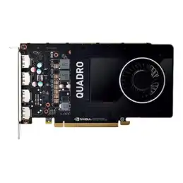 NVIDIA QUADRO P2200 - Carte graphique - Quadro P2200 - 5 Go - PCIe x16 - 4 x DisplayPort - pour C... (S26361-F2222-L205)_1