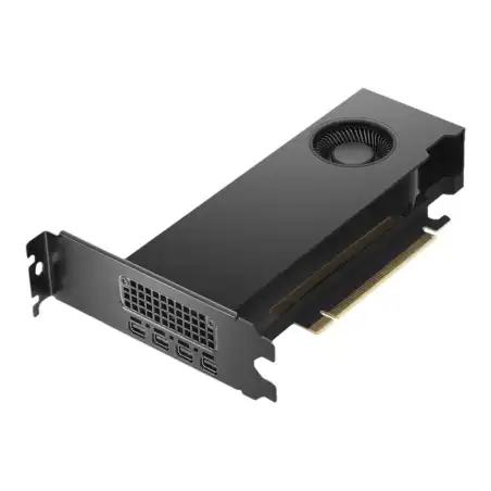 NVIDIA RTX A2000 - Carte graphique - RTX A2000 - 6 Go GDDR6 - PCIe 4.0 x16 - 4 x Mini DisplayPort - OEM ... (4X61F99433)_1