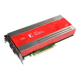 Xilinx Alveo U250 - Processeur de calcul - Alveo U250 - 64 Go DDR4 - PCIe 3.0 x16 - 2 x QSFP28 - san ventila... (R4B03C)_1