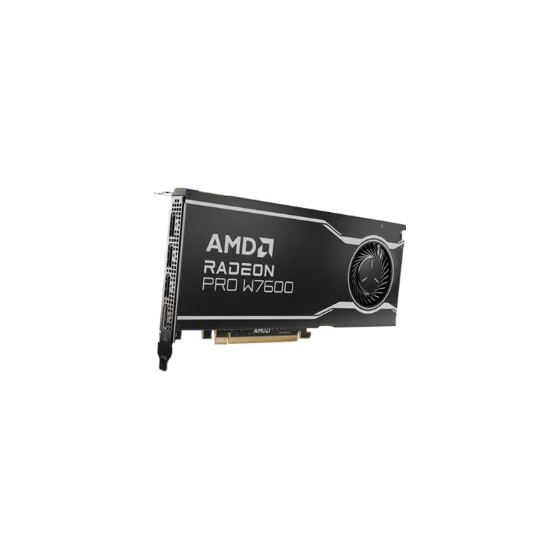 Carte graphique - Radeon Pro W7600 - 8 Go GDDR6 - PCIe 4.0 x8 - 4 x DisplayPort (100-300000077)_1