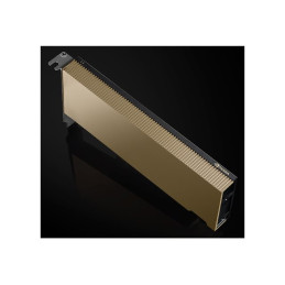 Processeur de calcul - L4 - 24 Go GDDR6 - PCIe 4.0 x16 profil bas - san ventilateur (900-2G193-0000-000)_1