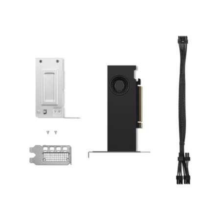 Carte graphique - NVIDIA RTX 2000 Ada - 16 Go GDDR6 - PCIe 4.0 x8 profil bas - 4 x DisplayPort (4X61P69962)_1