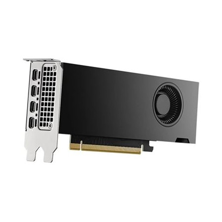 Carte graphique - NVIDIA RTX 2000 Ada - 16 Go GDDR6 - PCIe 4.0 x8 - 4 x Mini DisplayPort (DELL-M7X81)_1