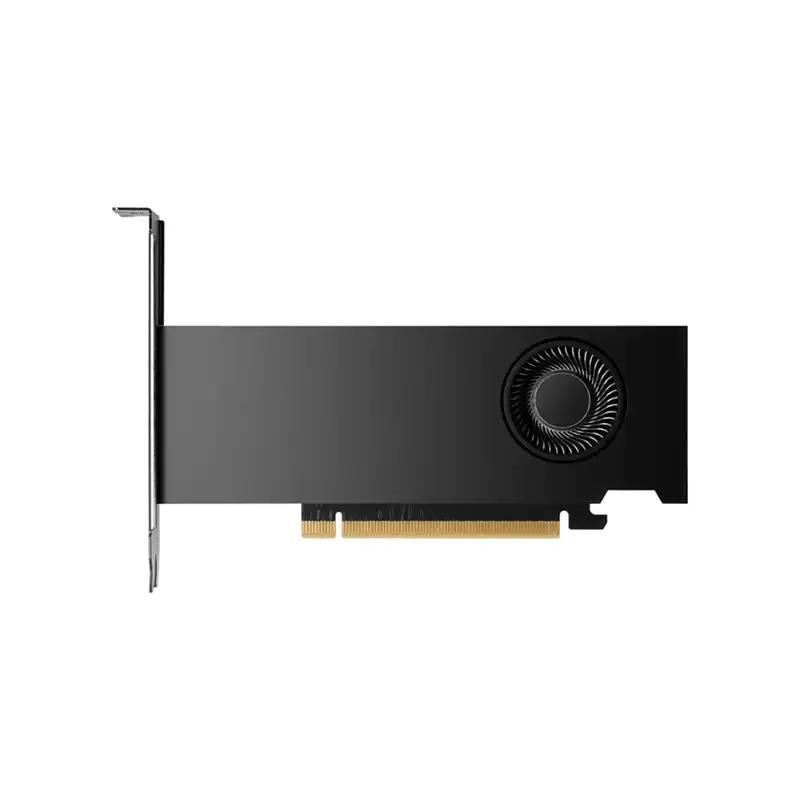 NVIDIA RTX 2000 Ada - Carte graphique - NVIDIA RTX 2000 Ada - 16 Go GDDR6 - 4 x Mini DisplayPort (8D6B8AA)_1