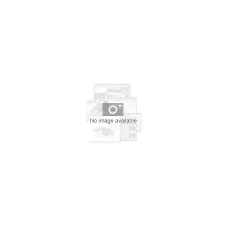 NVIDIA RTX PRO Sync (900-52061-0000-100)_1