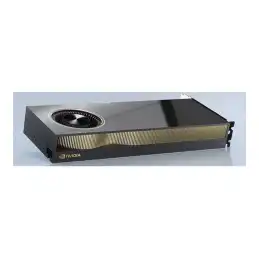 NVIDIA RTX A5500 - Carte graphique - RTX A5500 - 24 Go GDDR6 - PCIe 4.0 x16 - 4 x DisplayPort (900-5G132-2270-000)_2